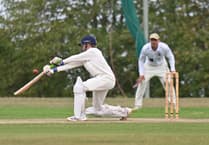 Teignmouth & Shaldon prevail on the final day