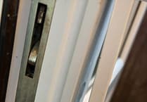 Homes targeted in daring nighttime raids