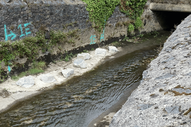 River Lemon, Newton Abbot