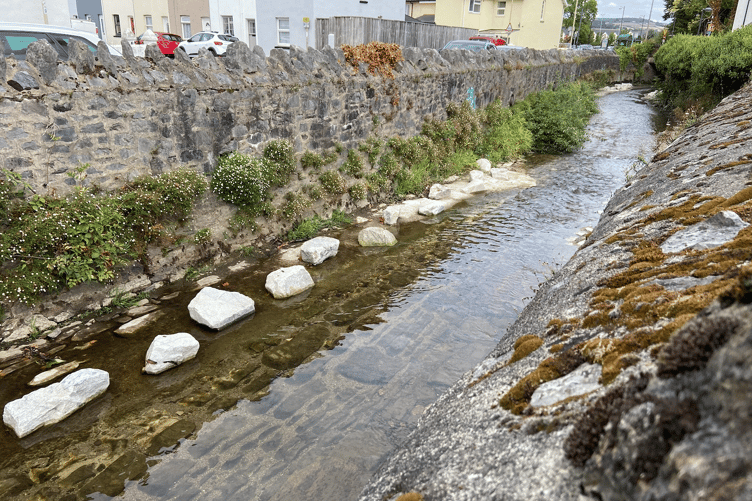 River Lemon, Newton Abbot