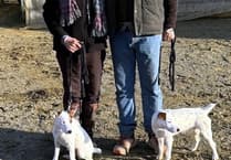 Actor's praise for dog trainer leads to global fame