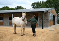 Watch: Josh Widdicombe and Angela Rippon back new Devon horse welfare centre