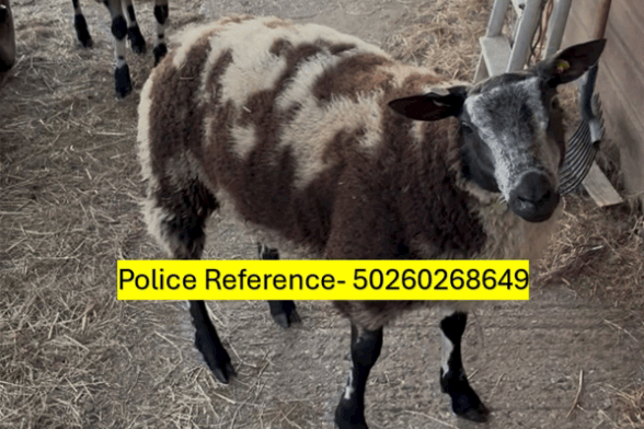 Devon & Cornwall Police