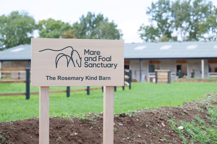 Mare and Foal Sanctuary's Rosemary Kind Barn