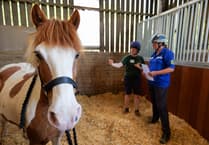 National recognition for The Mare and Foal Sanctuary at NEWC Awards
