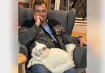 Newton Abbot MP calls for action over cat road deaths