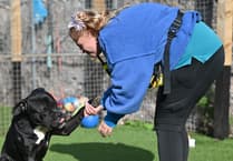 In Pictures: Foredowne Kennels helps abandoned dogs find new homes