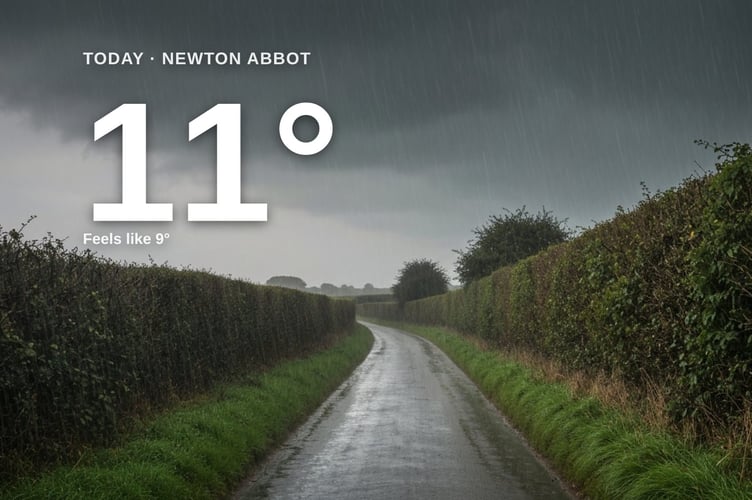 Newton Abbot weather: heavy rain Friday with rain expected and a high of 10°C