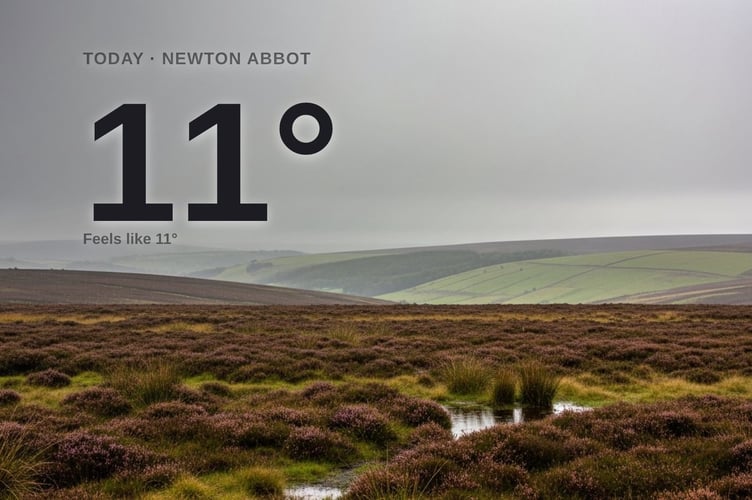 Newton Abbot weather: cloudy Tuesday with rain expected and a high of 12°C