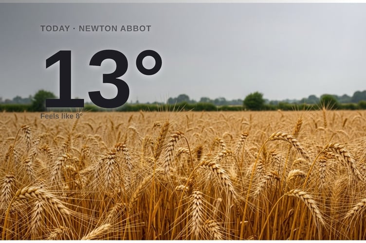 Newton Abbot weather: cloudy Sunday with rain expected and a high of 13°C