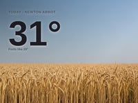 Newton Abbot: sunny day, high of 31°C